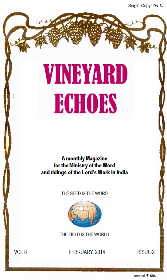 vineyard echoes-feb2014