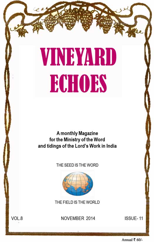 vineyardechoes-nov2014